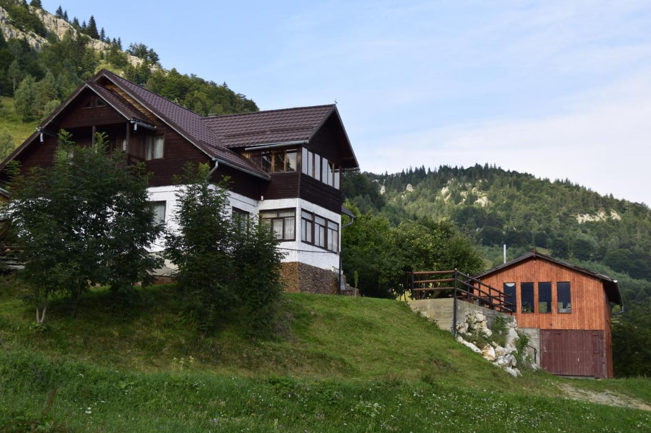 ホテル Cabana Colnic Măgura エクステリア 写真