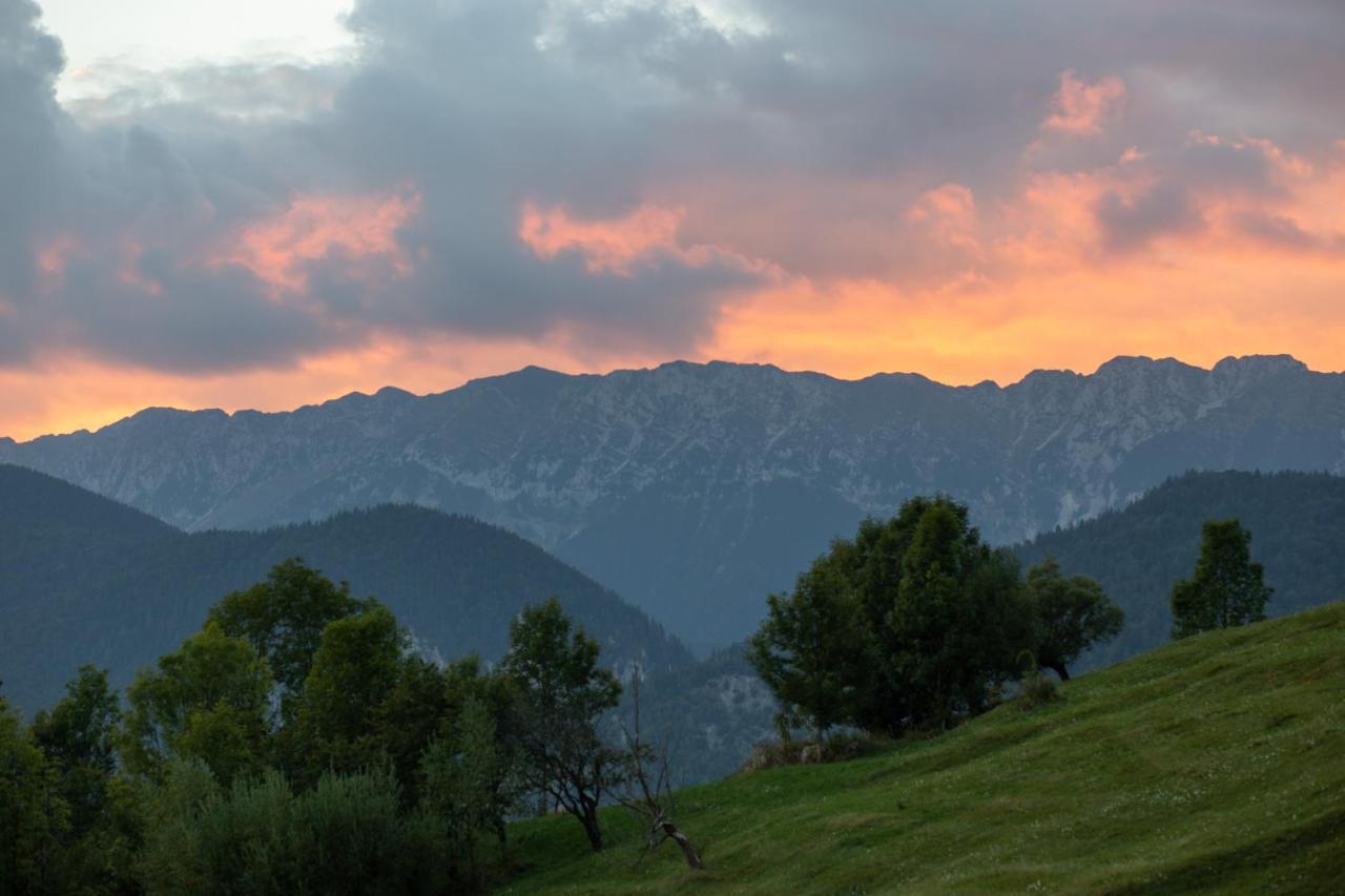 ホテル Cabana Colnic Măgura エクステリア 写真